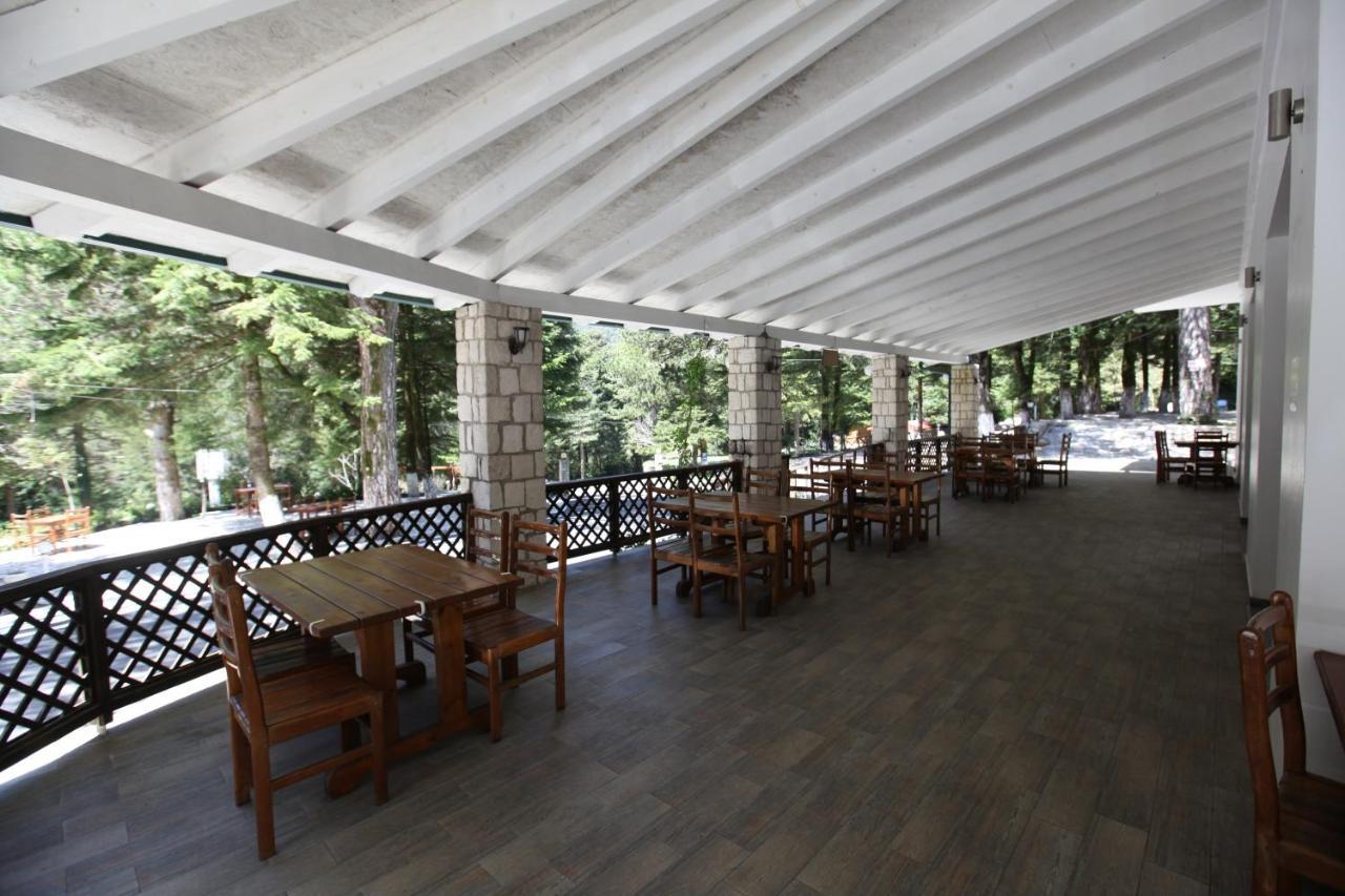 Bujtina Uji I Panjes, Log Cabins Dukat Exterior photo